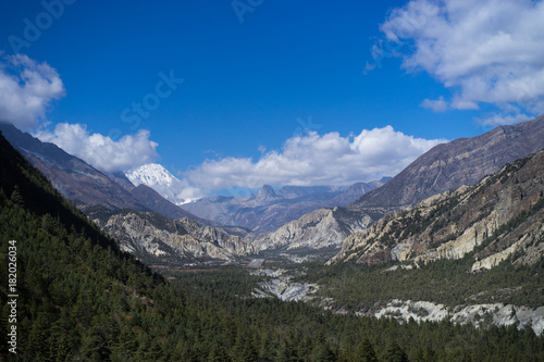 Valley and Forest in the Himalaya mountains, Annapurna region, Nepal