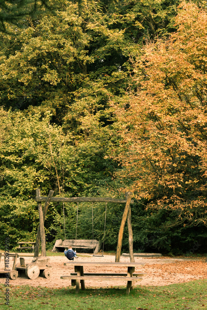 A boy on a swing in the forest playground