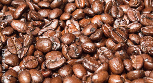 Coffee Beans 4