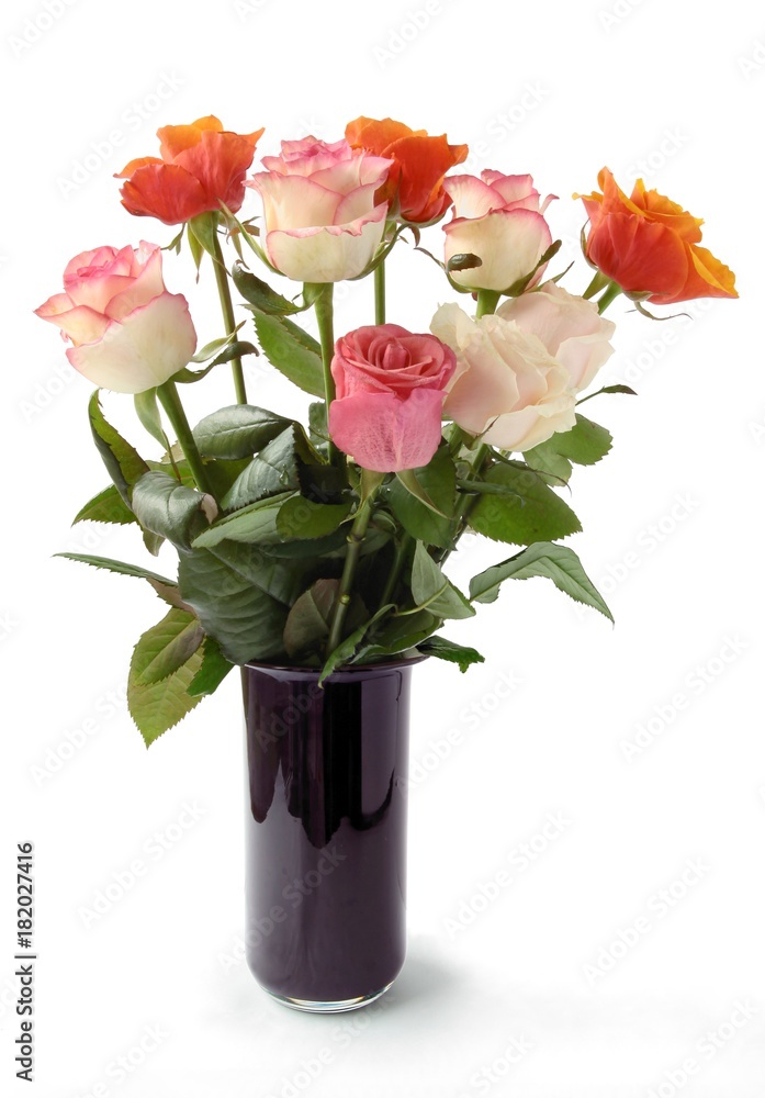 pretty roses pretty roses