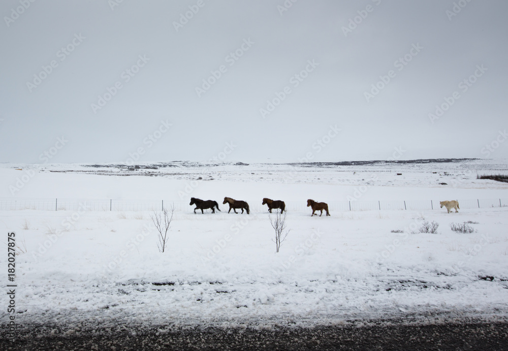 iceland