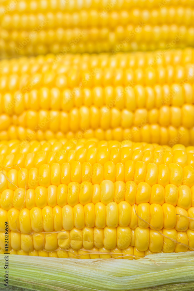corn close-up corn close-up