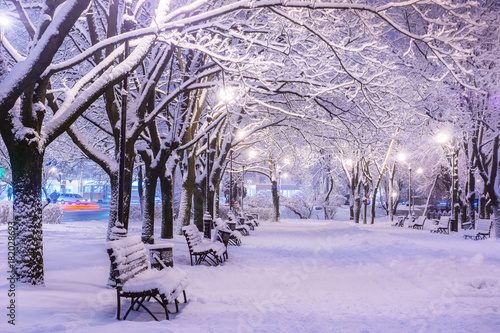Amazing winter night landscape of snow covered bench among snowy trees and shining lights during the snowfall. Artistic picture. Beauty world.