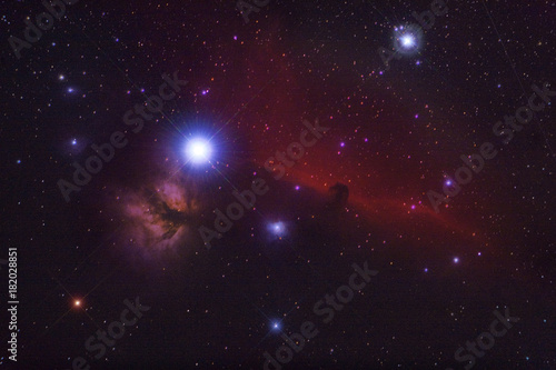 horse head nebula photo