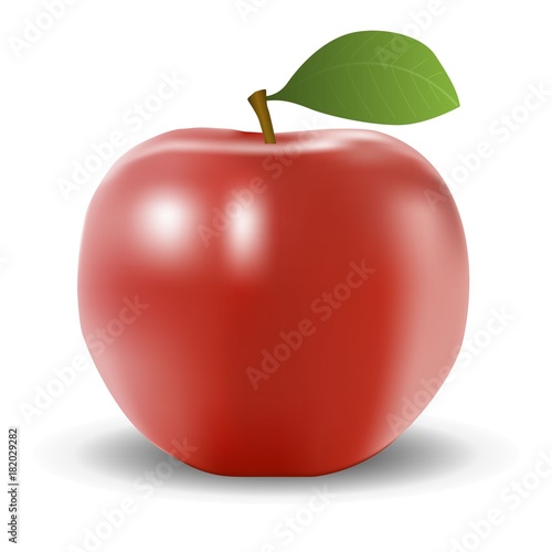 Realistic red apple with shadow on a white background vector illustration