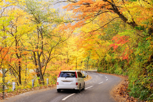 Scene of cars drive along the road with autumn red leaf in Aomori, Japan. Beautiful country side along the road great time for travel.