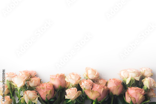 Fototapeta Naklejka Na Ścianę i Meble -  pink rose flowers