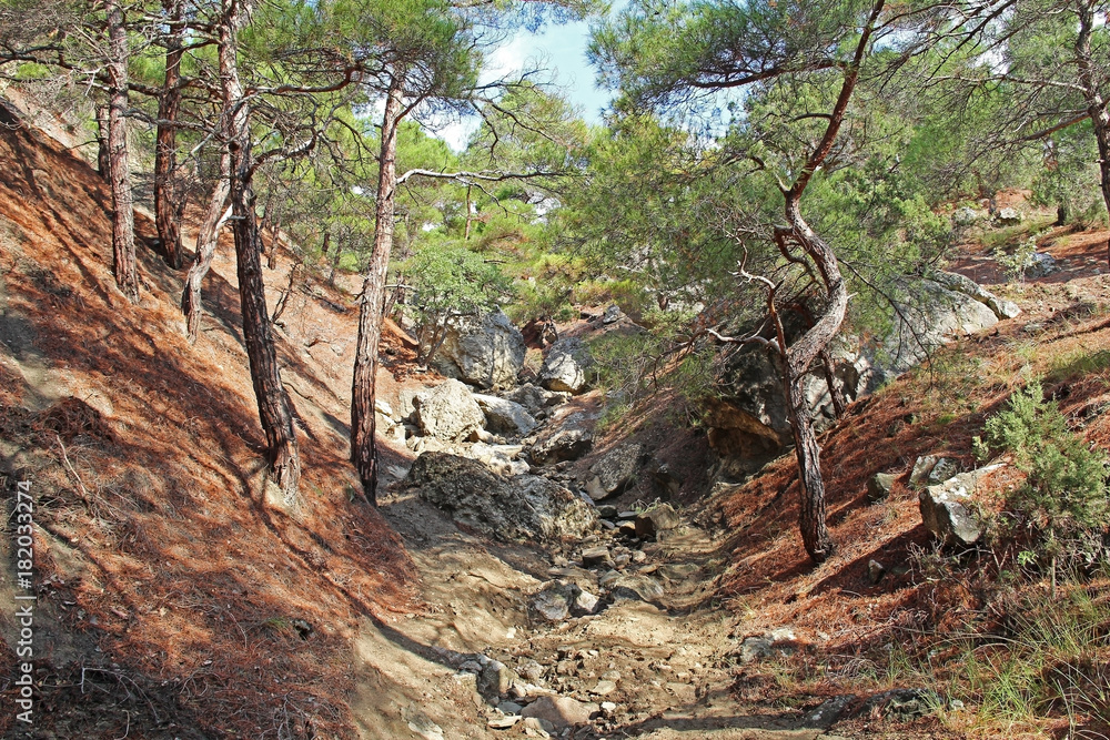 Beautiful nature at Mountain Socol (Sokol) (Falcon) in Crimea. Beautiful nature at Mountain Socol (Sokol) (Falcon) in Crimea.