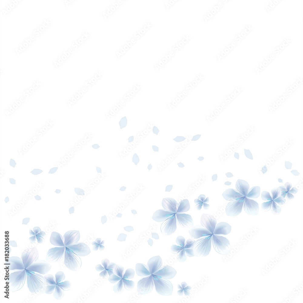 White Blue flowers and flying petals isolated on White background. Apple-tree flowers. Cherry blossom. Vector White Blue flowers and flying petals isolated on White background. Apple-tree flowers. Cherry blossom. Vector