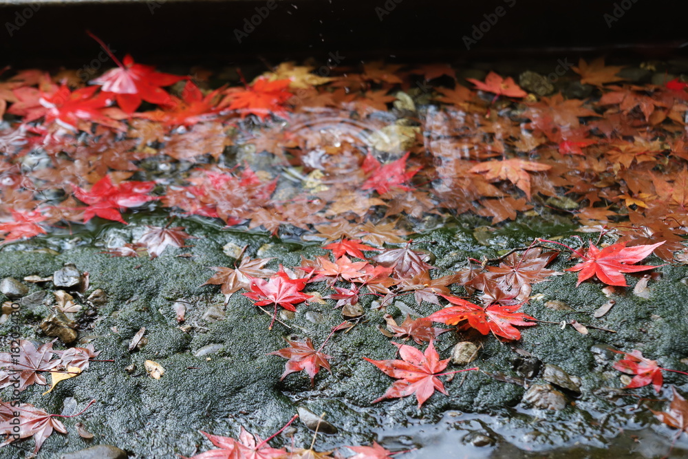 若狭神宮寺の秋景色