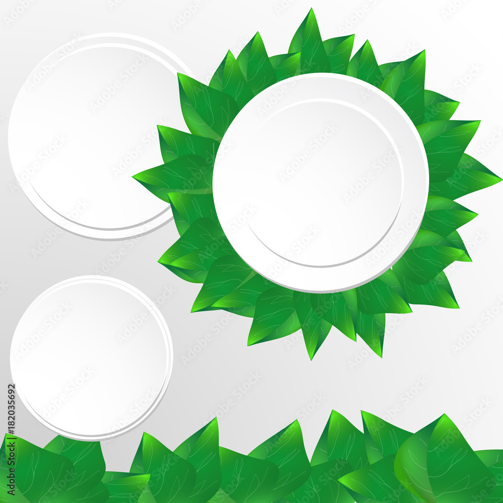 vector illustration of green leaves and white frames vector illustration of green leaves and white frames