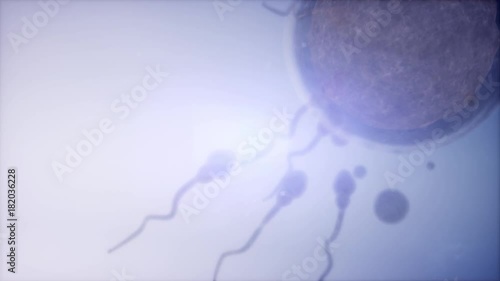 sperm and egg cell. frosen microscopic research