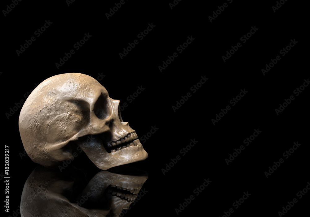 skull wallpaper hd of a skull isolated