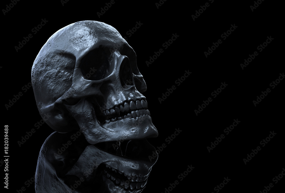 140 Skull fukd ideas | skull, skull art, skull wallpaper-sgquangbinhtourist.com.vn