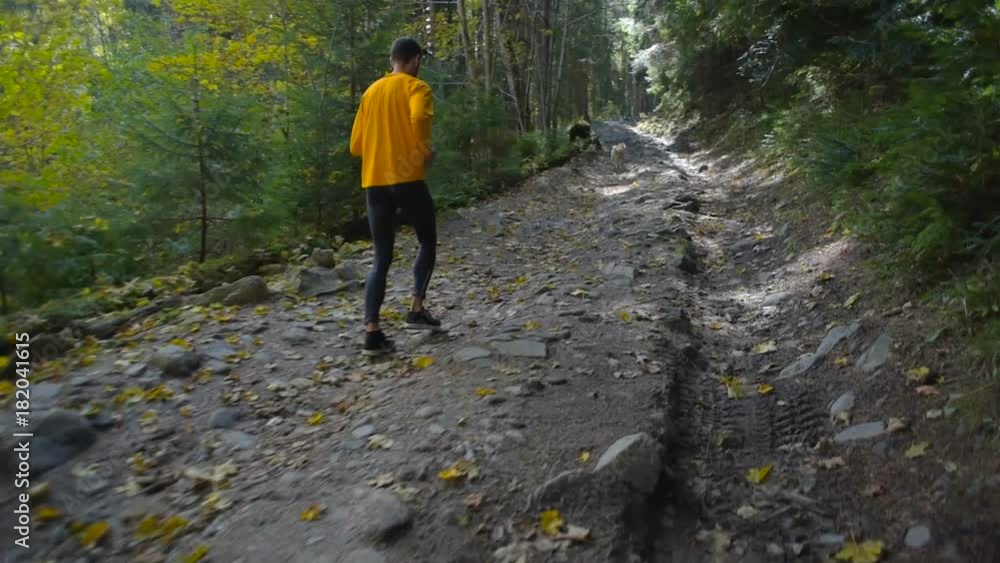 man with siberian husky dog running in mountain forest. Trail running man with siberian husky dog running in mountain forest. Trail running