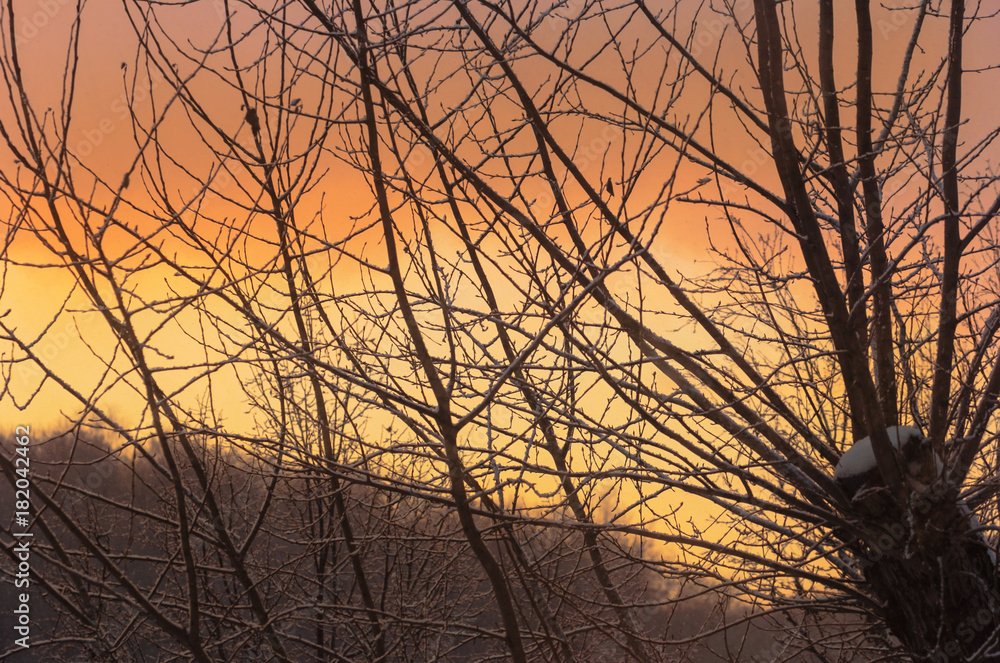 Frosty sky of dawn Frosty sky of dawn