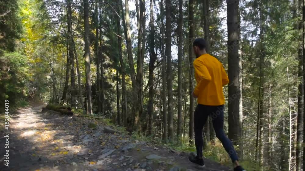 man running in mountain forest. Trail running man running in mountain forest. Trail running