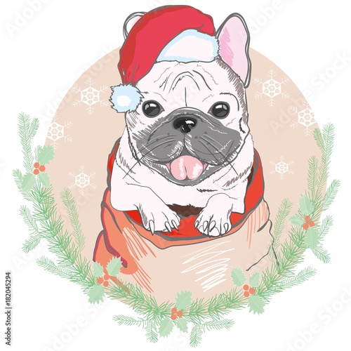 Portrait of cute french bulldog in red christmas hat on blue background. Vector illustration. Santa Claus. New Year's and Christmas.