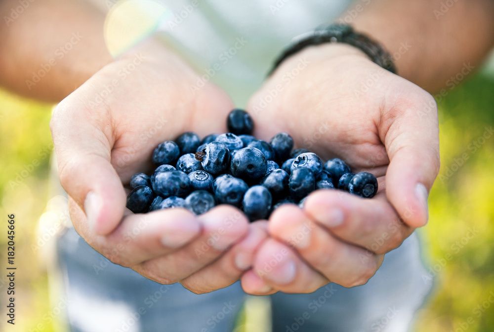 Blueberry in the hands of the farmer, man, fruit, food, nature Blueberry in the hands of the farmer, man, fruit, food, nature