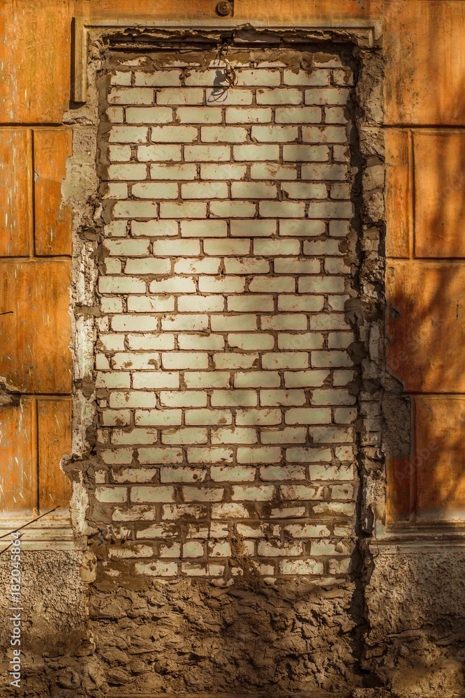 Fototapeta premium Old door with interesting texture