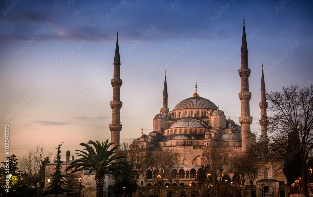 Fototapeta premium Sultanahmet Mosque the Blue Mosque in Istanbul, Turkey , exterior view of the Blue Mosque at sunset 