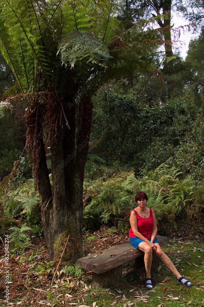 Fotografie Landschaft in Bemm River Scenic Reserve