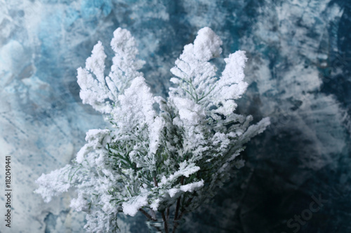 Christmas branches with artificial snow