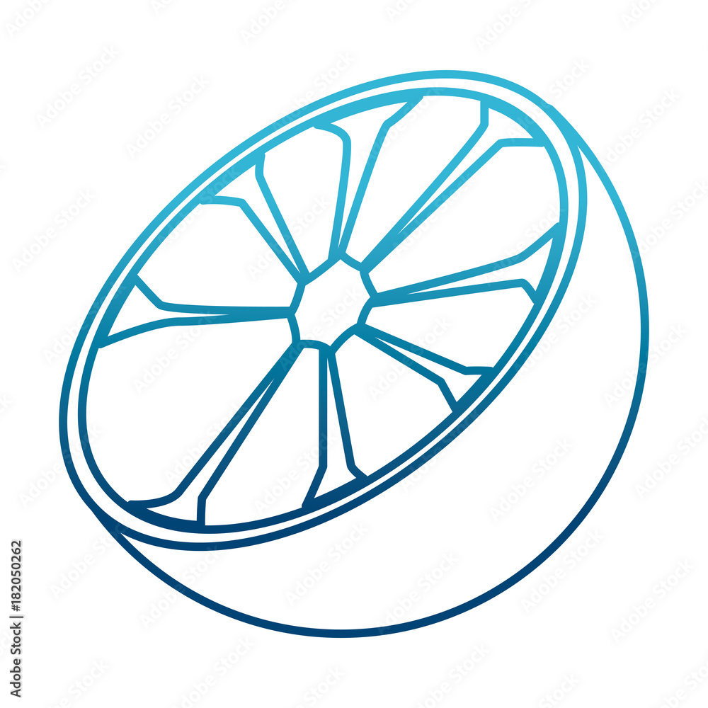 Orange half cut icon vector illustration graphic design Orange half cut icon vector illustration graphic design