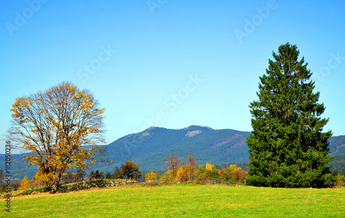 Autumn landscape in National park Bavarian forest, Germany. View on Grosser Osser mount.