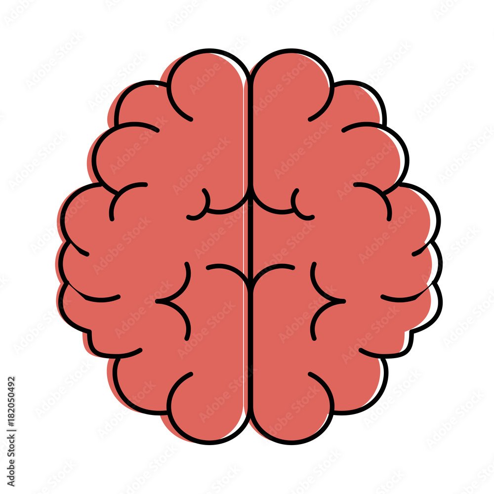 brain human isolated icon vector illustration design brain human isolated icon vector illustration design