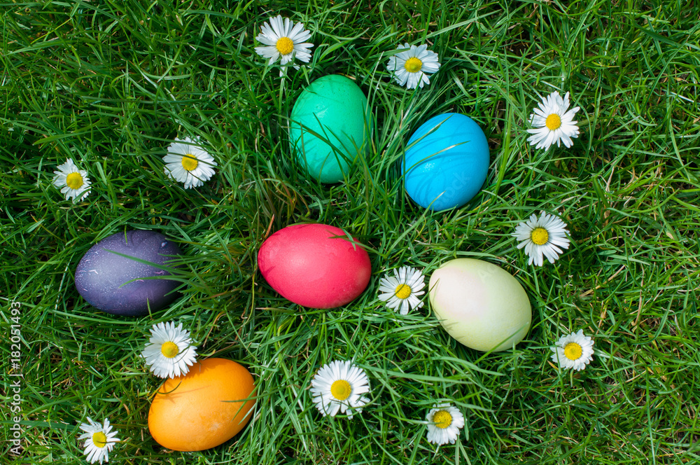 Easter hunt in a garden