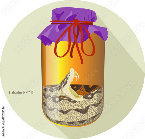 Hand drawn vector illustration of Habushu (ハブ酒), Habu Sake or Okinawan Snake Wine - an awamori-based liqueur made in Okinawa, Japan
