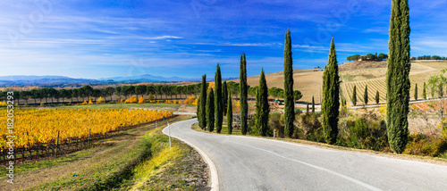 Traditional countryside and landscapes of beautiful Tuscany in autumn colors. vineyards and cypresses. Italy scenery