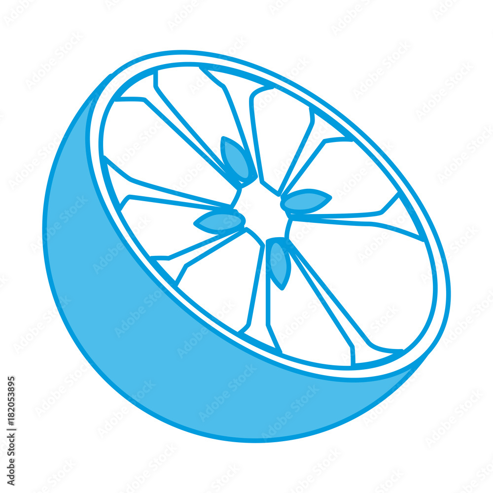 Orange half cut icon vector illustration graphic design Orange half cut icon vector illustration graphic design
