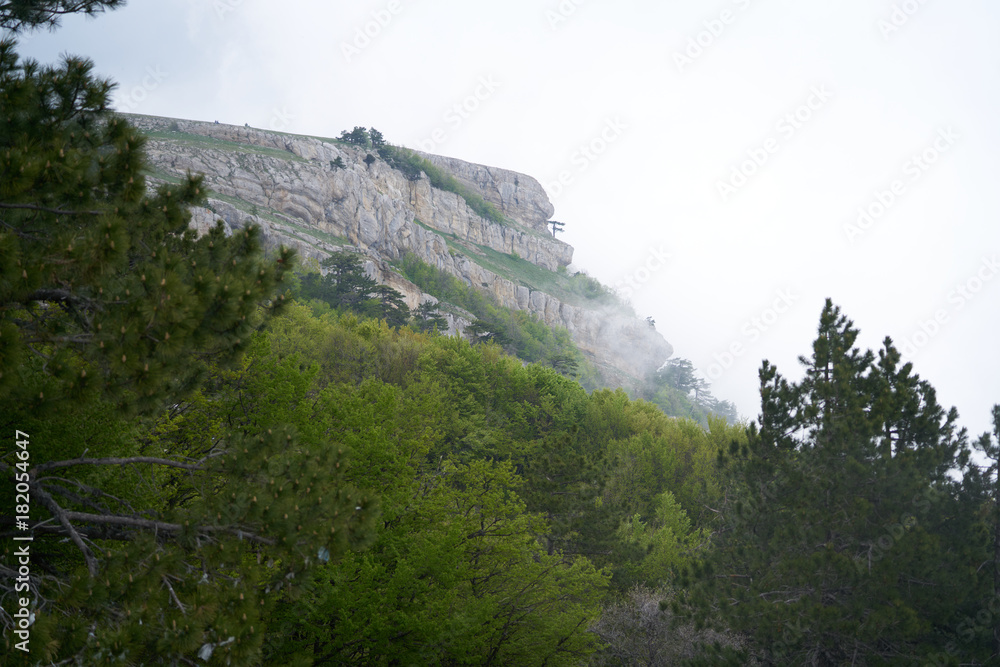 Precipice, mountains, rocks, abyss, nature, fresh air, tree, forest