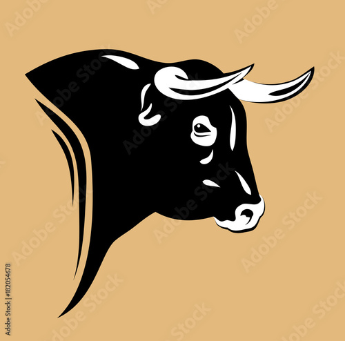 Portrait of a bull