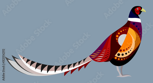 Pheasant, abstract, colorful image