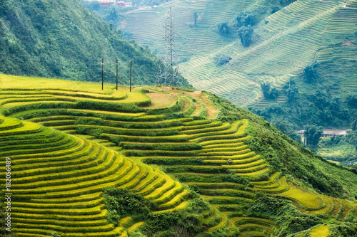 View of rice field terraced glowing on mountain © Mumemories