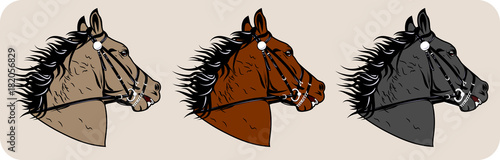 Beautiful horse image, vector