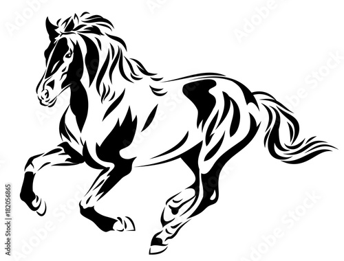 Beautiful horse image  vector