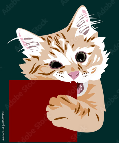 cute kitten gnawing a square