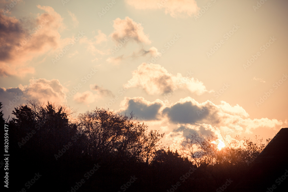 Fototapeta premium autumn sunrise silhouette