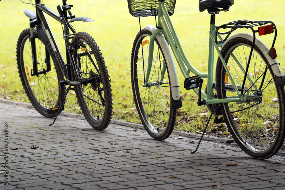Obraz premium two parked bikes in the park
