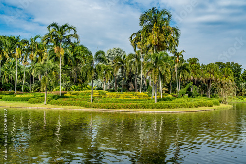 Green trees and lake