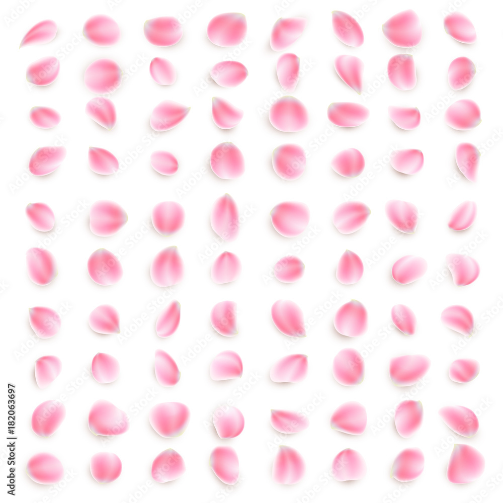 Set of pink rose petals close-up on white background. EPS 10 vector
