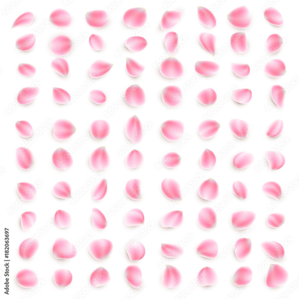 Set of pink rose petals close-up on white background. EPS 10 vector Set of pink rose petals close-up on white background. EPS 10 vector