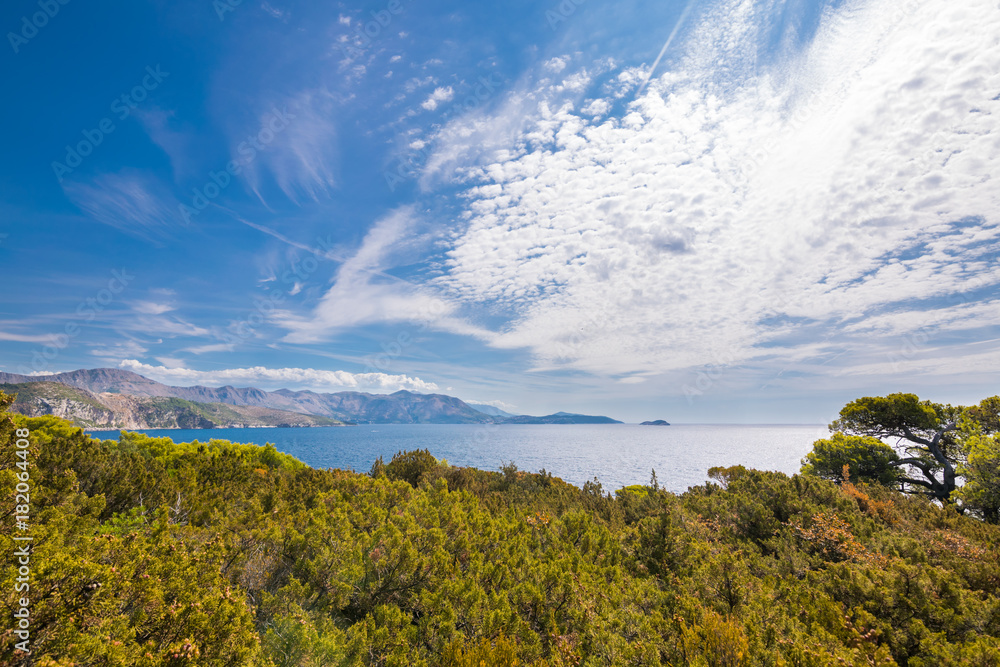 Naklejka premium Beautiful Island of Lokrum, City of Dubrovnik, Adriatic Sea, Croatia, Europe