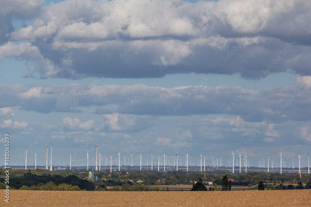 Blick auf einen Windpark