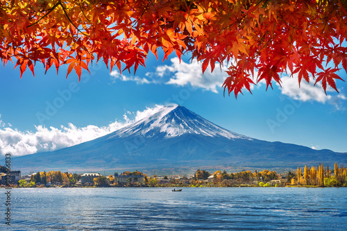 Autumn Season and Mountain Fuji at Kawaguchiko lake  Japan.