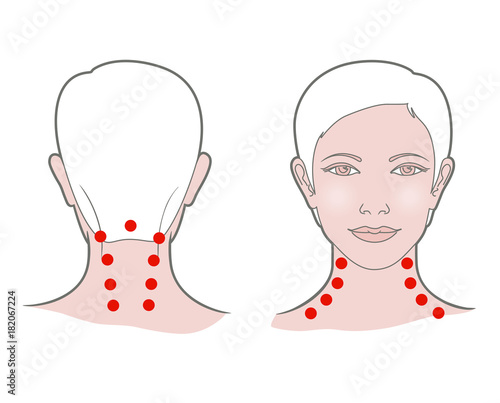 Head with a neck of a young woman with dots for self-massage. Front and back view.